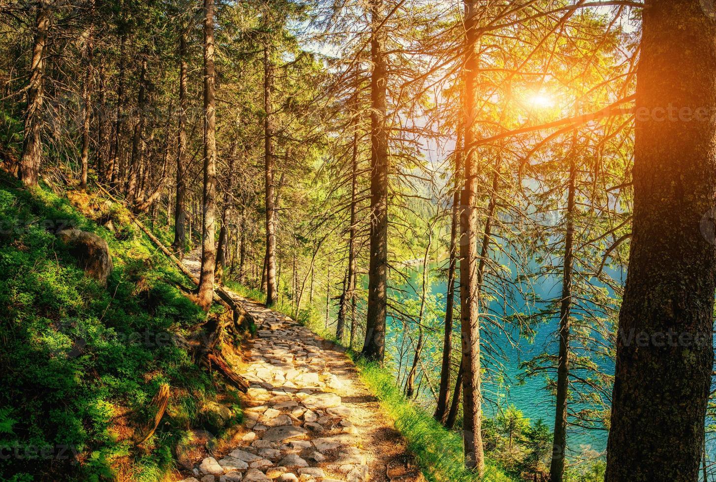 el atardecer se rompe entre los árboles. el sendero en las montañas que foto