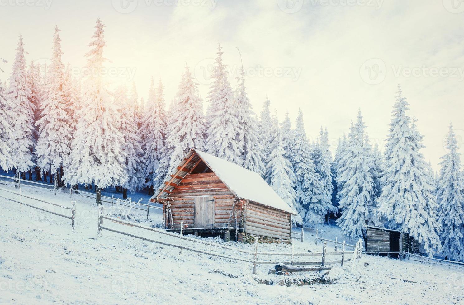 cabaña en las montañas en invierno. cárpatos, ucrania, europa foto