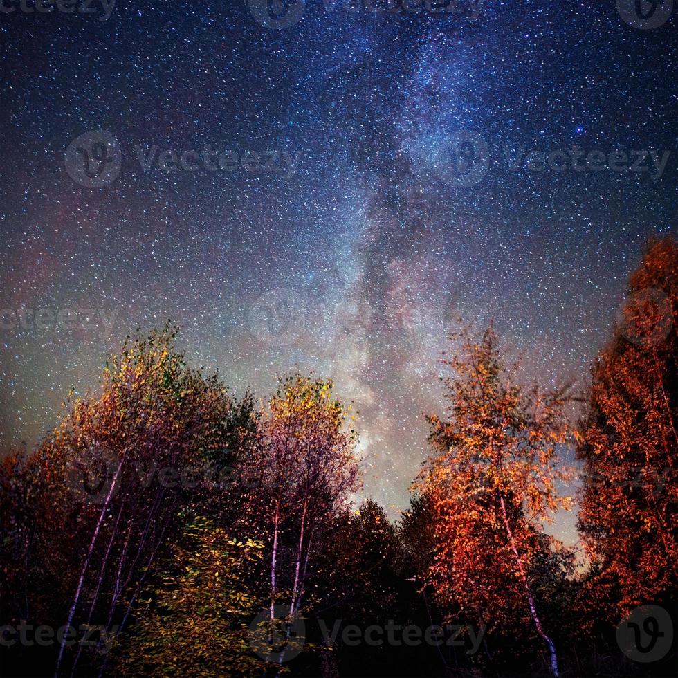 fantástica lluvia de meteoritos de invierno y las montañas nevadas. foto