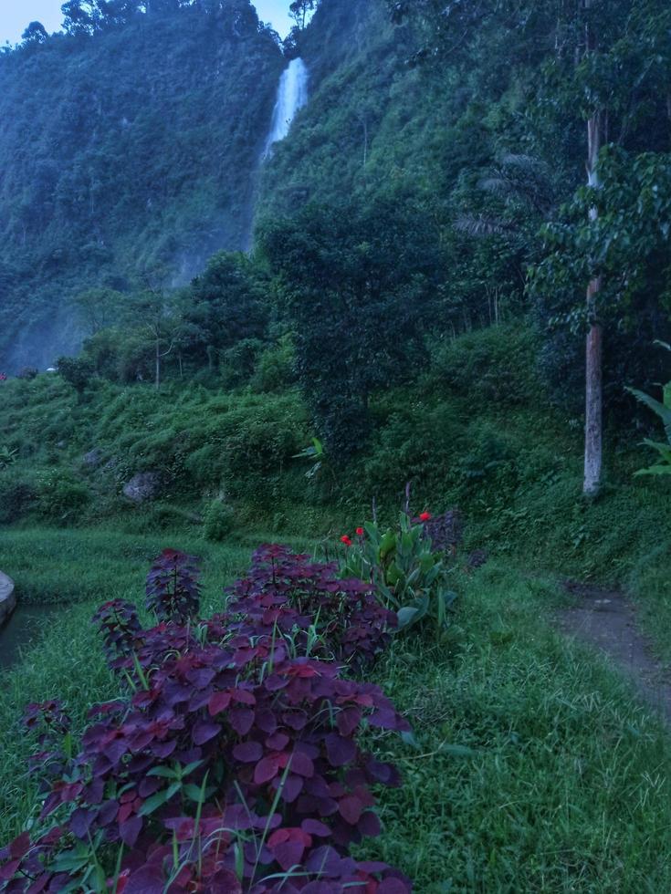 el camino a la cascada foto