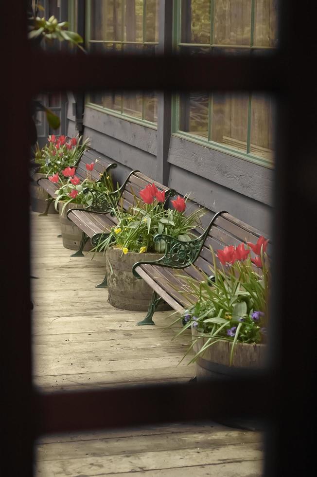 Beautiful bench and flowers from wooden window frame photo