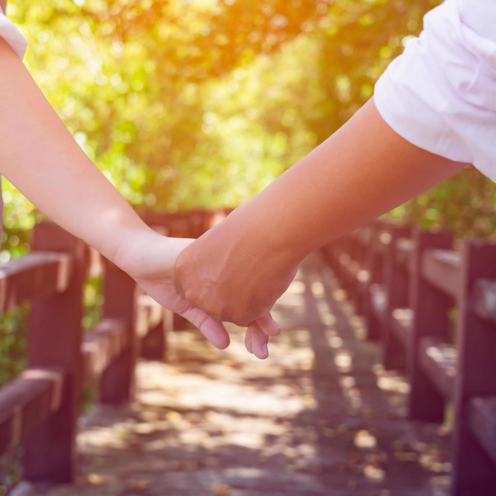 manos de dos amantes caminando por una acera en el bosque de manglares. de vacaciones, día de la boda o día de san valentín foto