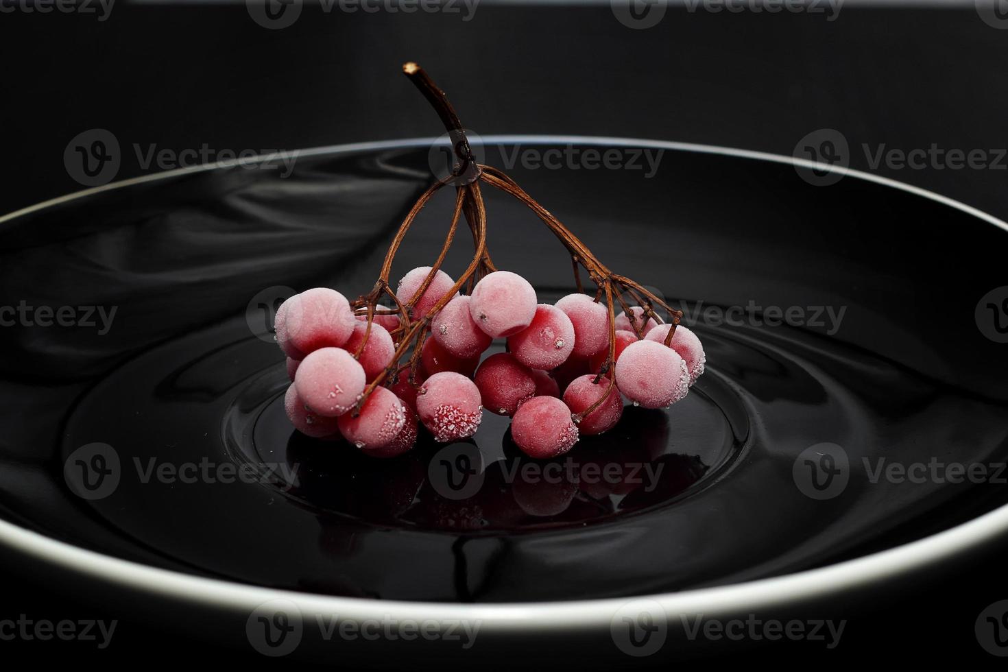 Frozen red viburnum berries photo