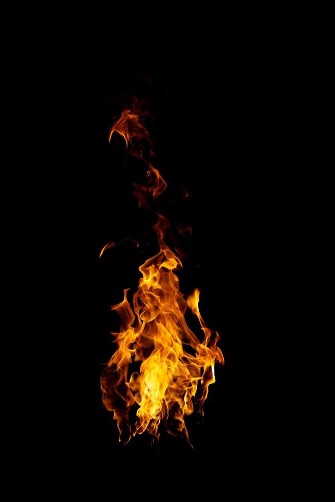 real and hot flames are burning on a black background. photo