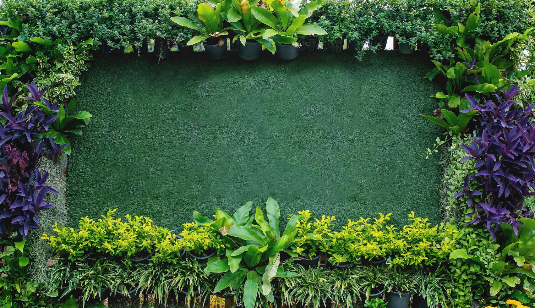 Beautiful green leaf background photo