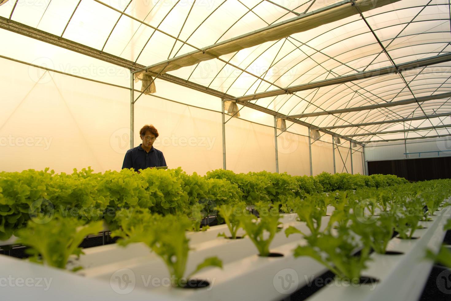 A new generation of asian young men with organic vegetable business photo