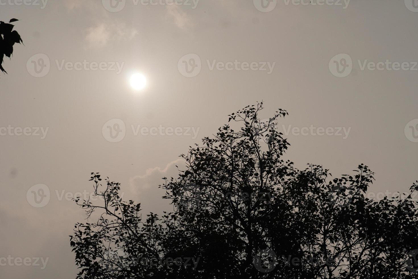 concepto de imagen del sol y el clima foto