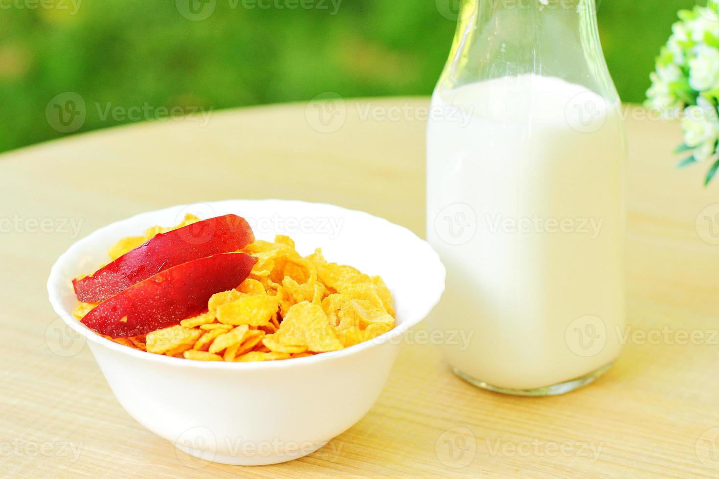 Bowls with different sorts of breakfast cereal products, white bowls with morning meal photo