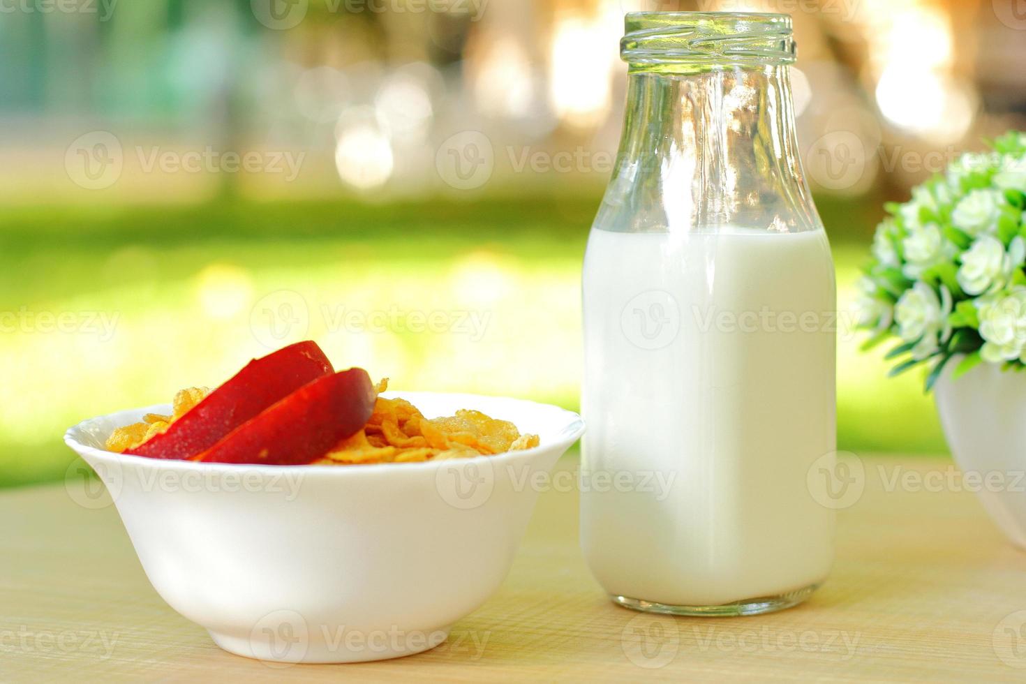 Bowls with different sorts of breakfast cereal products, white bowls with morning meal photo