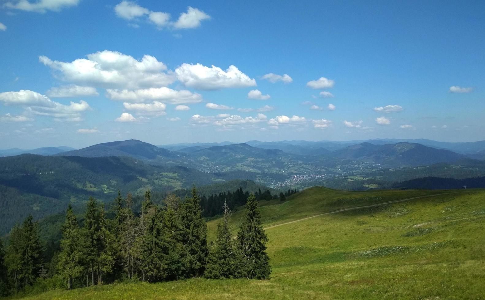 hermoso campo en las montañas. montañas de los cárpatos, ucrania, europa foto