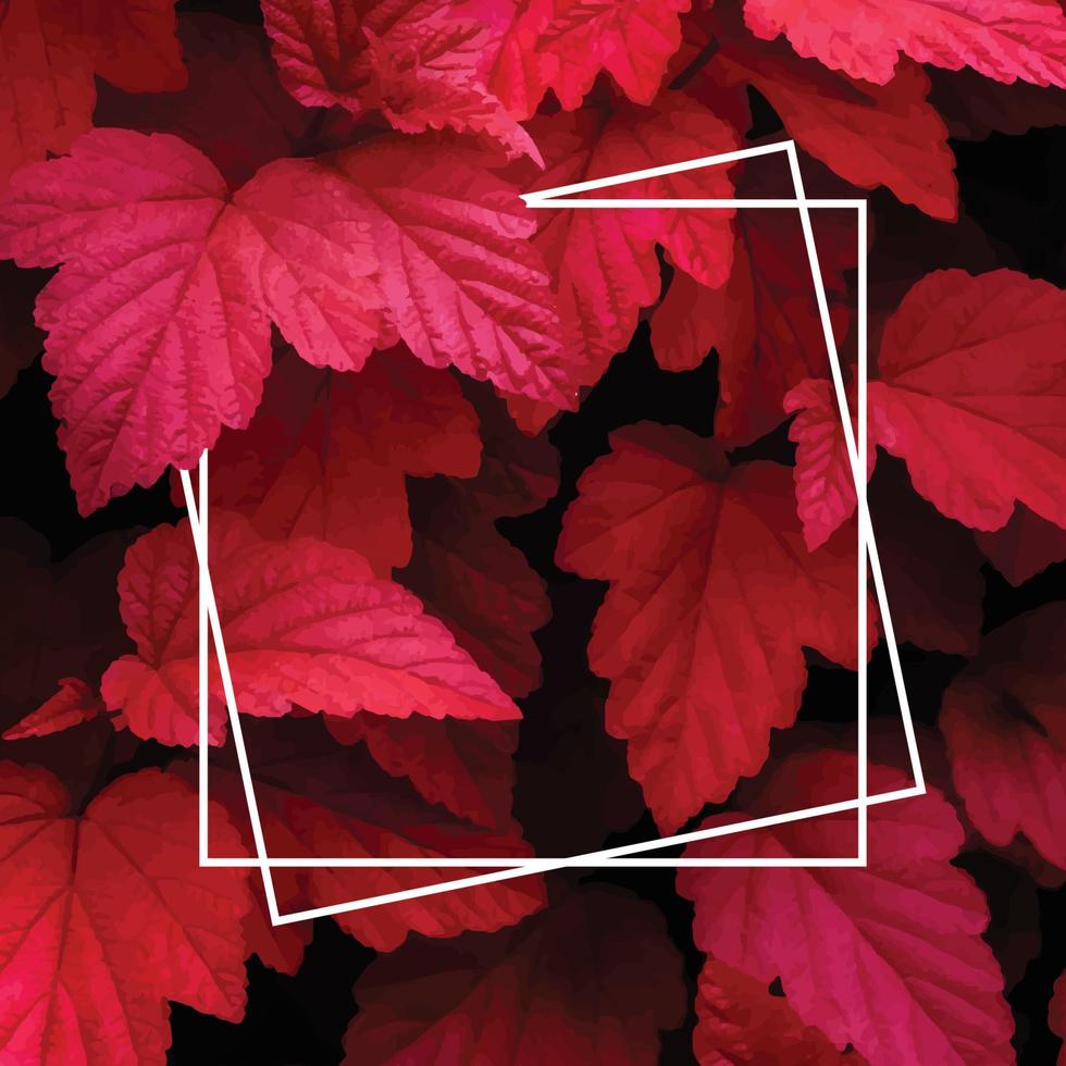 Lots of bright red tropical leaves on the background with a white stripe in the middle. vector
