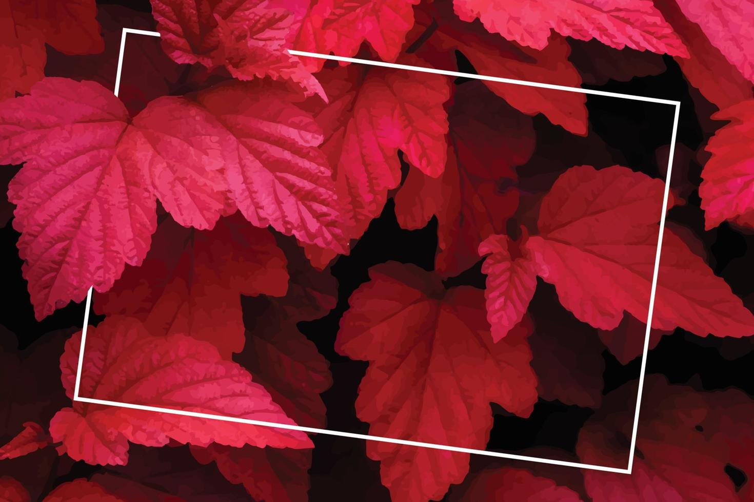Lots of bright red tropical leaves on the background with a white stripe in the middle. vector