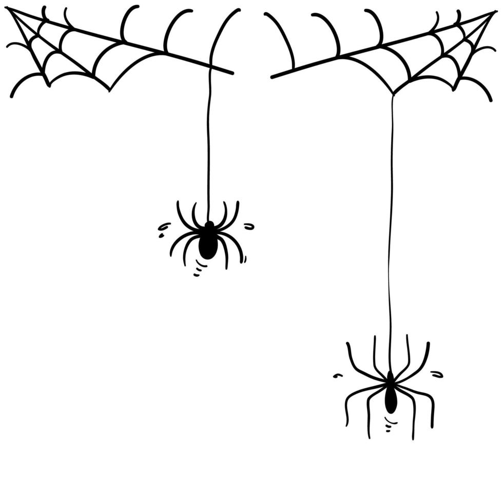 spider web illustration with handddrawn doodle style vector