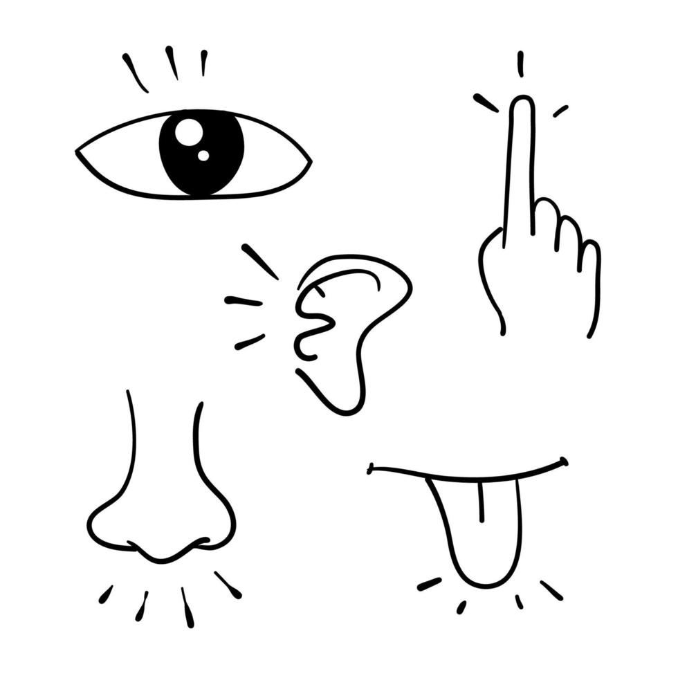 conjunto de iconos de cinco sentidos humanos. ojo de visión, nariz de olfato, oído auditivo, mano táctil, boca de sabor con estilo de garabato de lengua 6787519 Vector en Vecteezy conjunto de iconos de cinco sentidos humanos. ojo de visión, nariz de olfato, oído auditivo, mano táctil, boca de sabor con estilo de garabato de lengua 6787519 Vector en Vecteezy