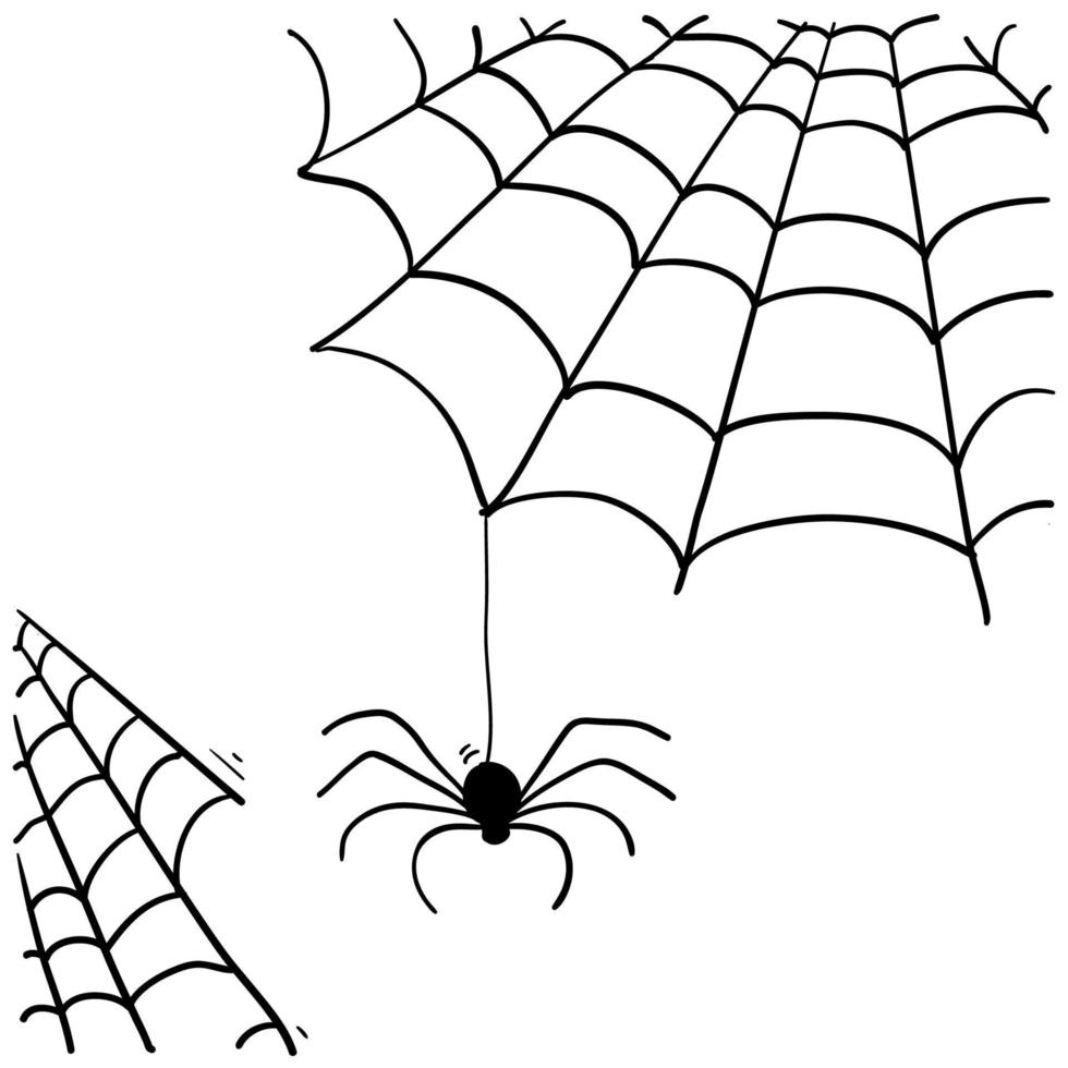 spider web illustration with handddrawn doodle style vector