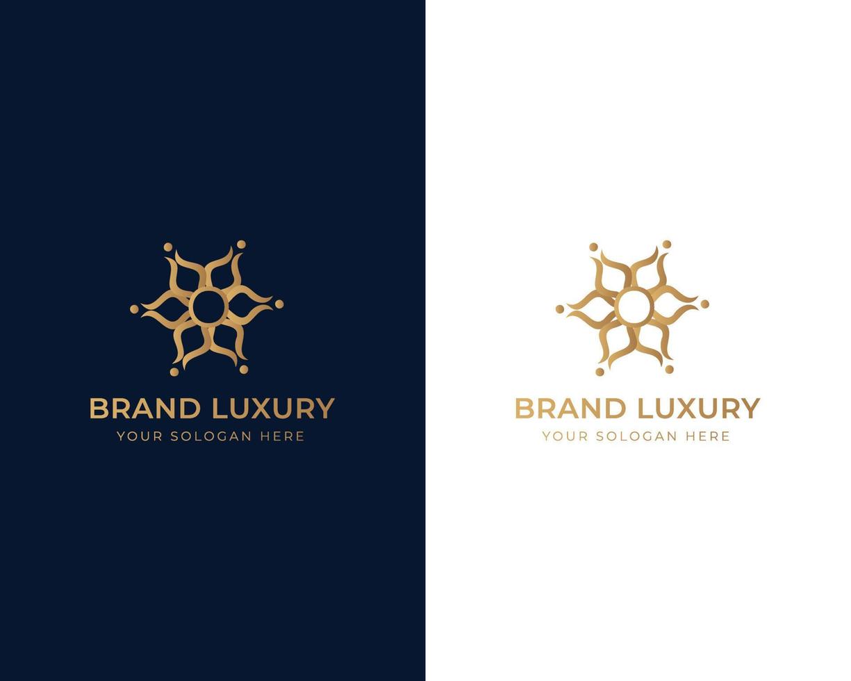 Abstract Elegant Ornament Logo Design vector