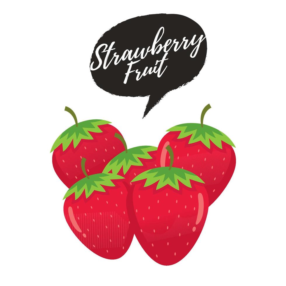Strawberry fruit  vector illustration