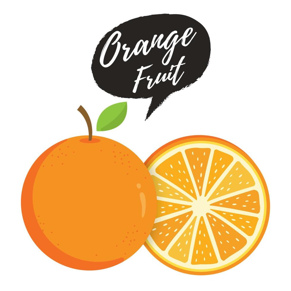 Orange fruit vector illustration