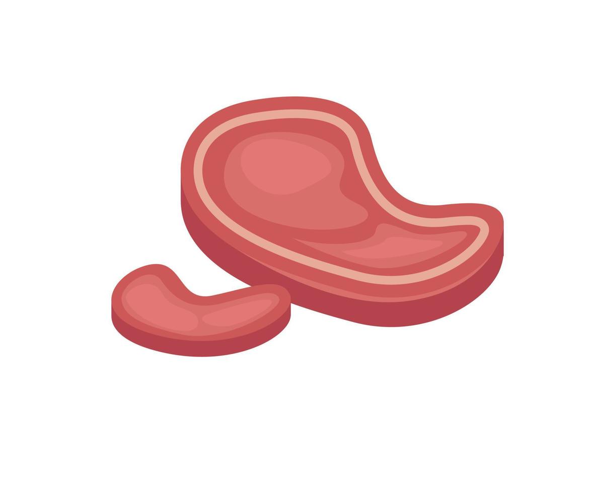 Isometric style illustration of cuts of meat vector