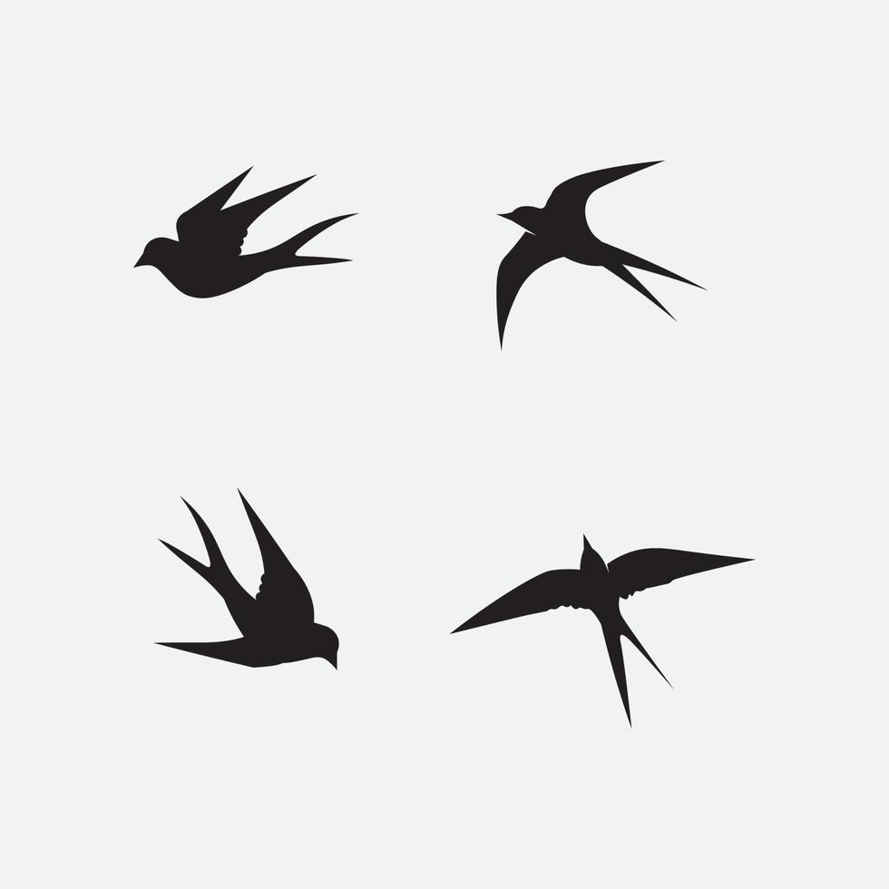 Birds and swallow dove logo design and vector animal wings and flying bird