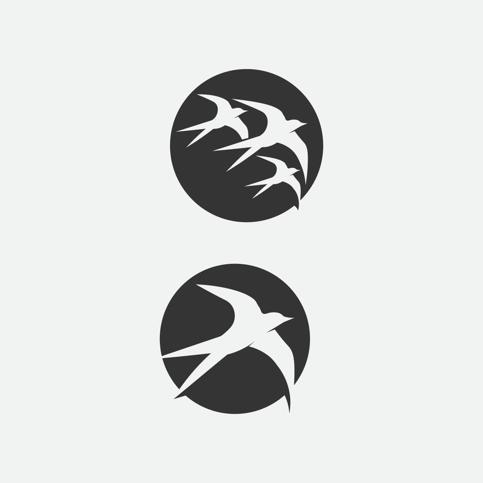 Birds and swallow dove logo design and vector animal wings and flying bird