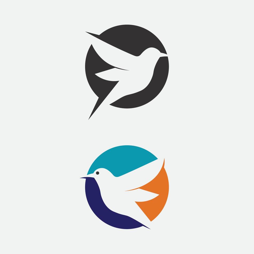 pájaros y golondrina diseño de logotipo de paloma y alas de animales vectoriales y pájaro volador vector