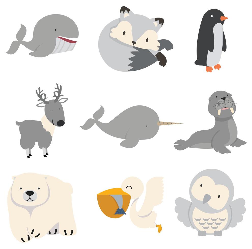 Artic animals cartoon collection Flat design set vector