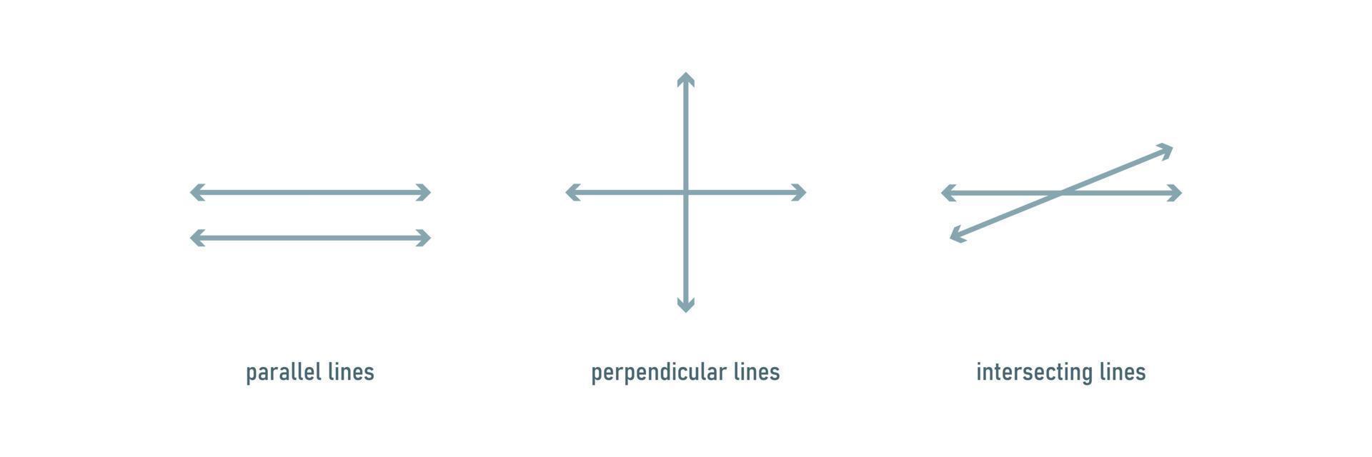 Type of lines. School education.Vector vector