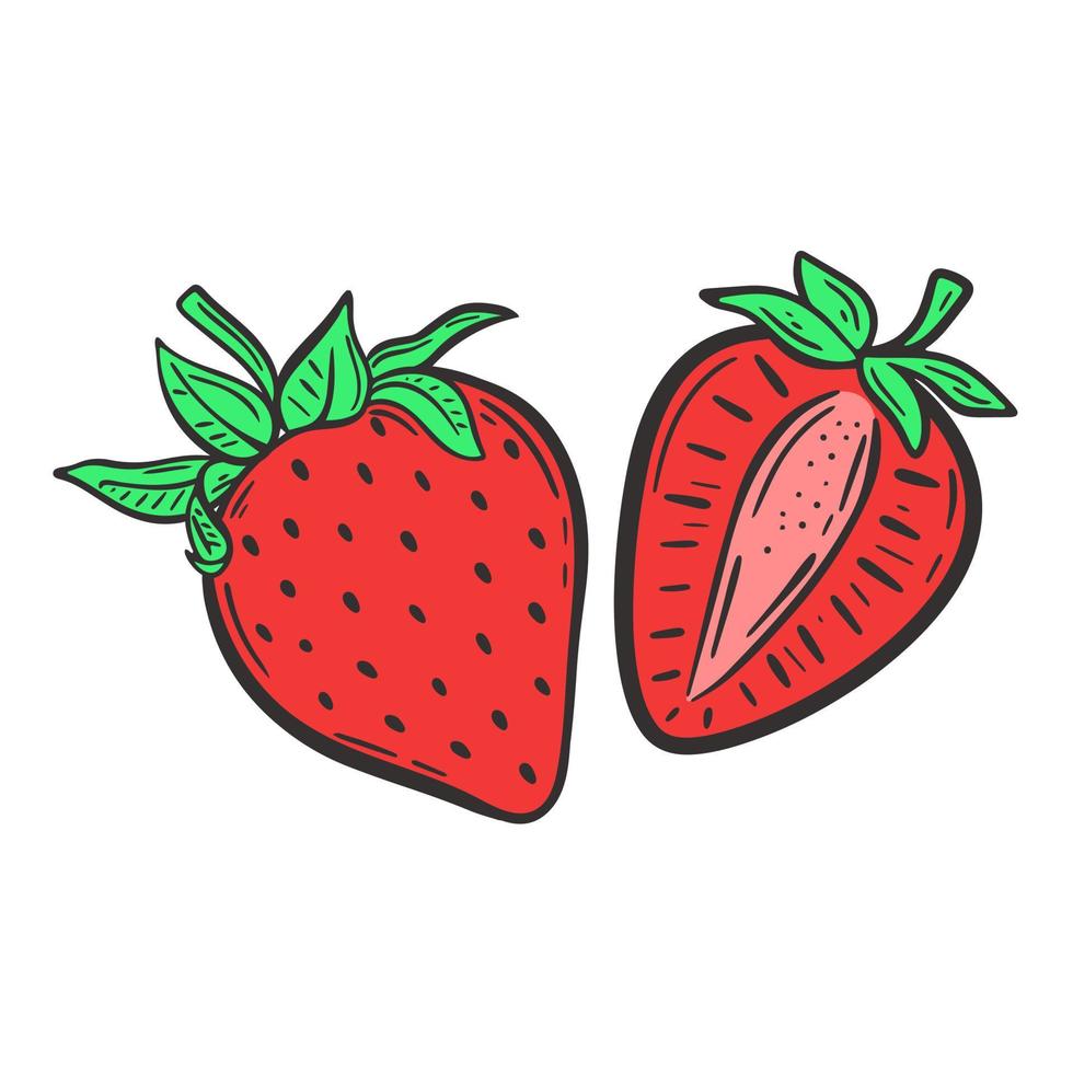 Red strawberries on white background vector illustration