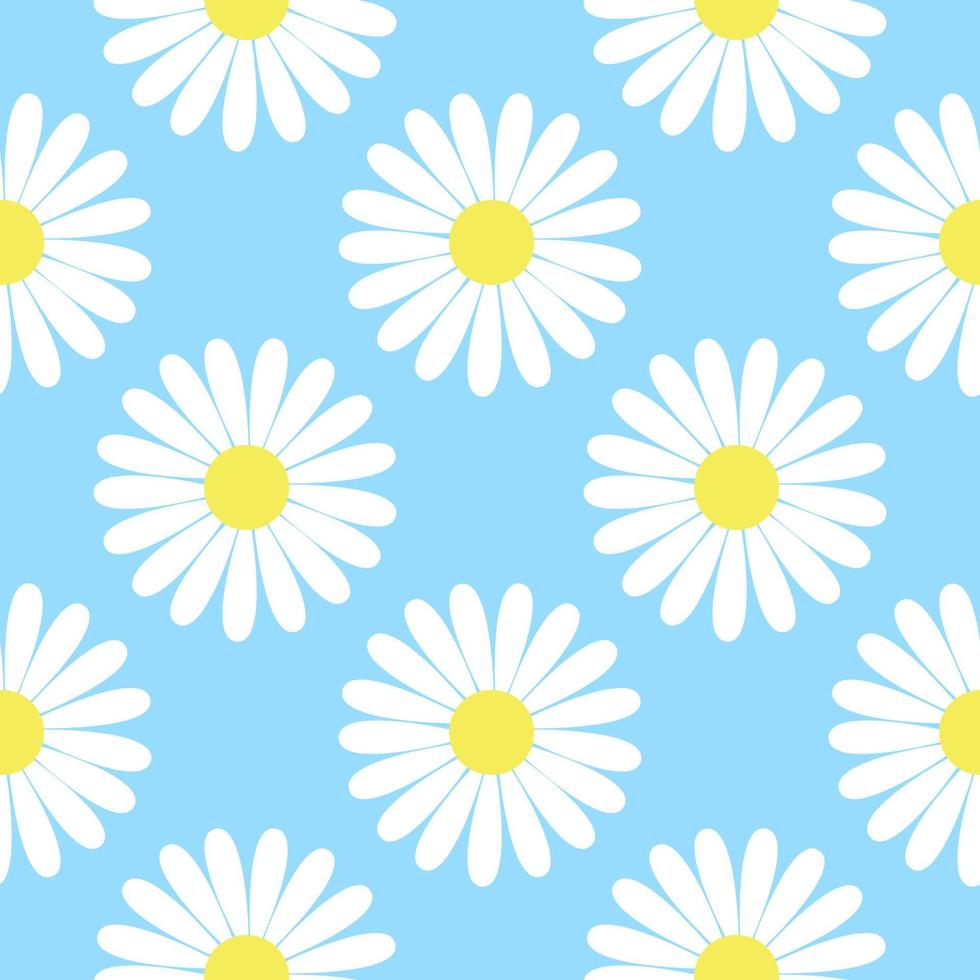 White daisies on blue sky background seamless pattern vector