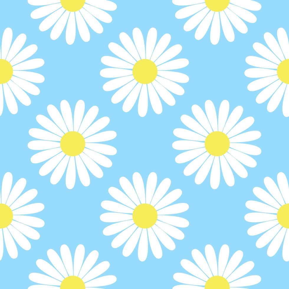 White daisies on blue sky background seamless pattern vector