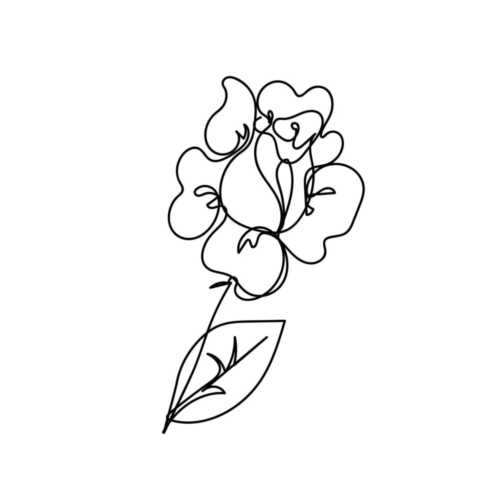 Rose continuous line, flowers garden, outline sketch style vector abstract art.