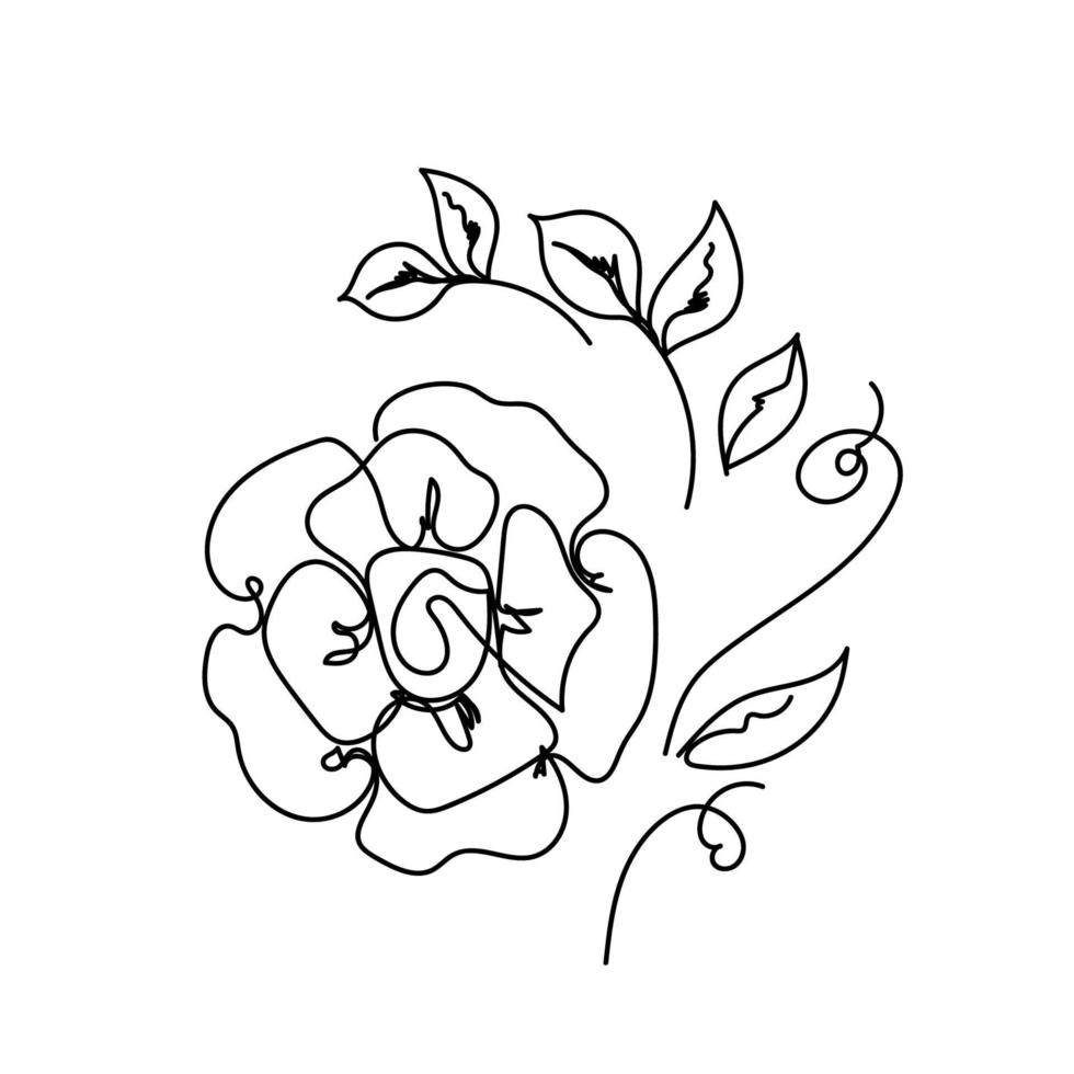 Rose continuous line, flowers garden, outline sketch style vector abstract art.