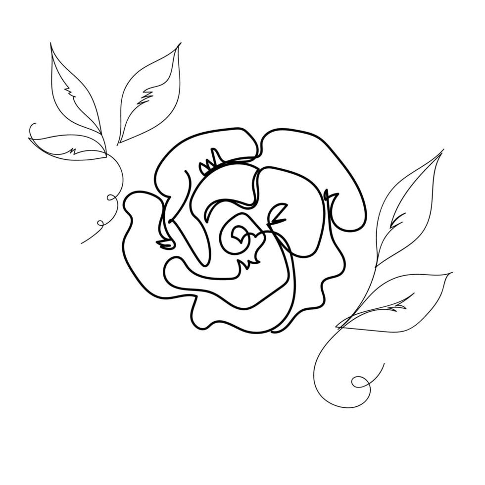 Rose outline art. vector