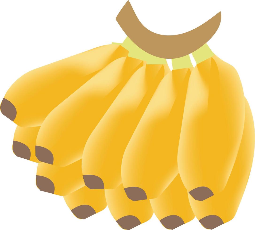 bananas isolated on white background with clipping path and full depth vector