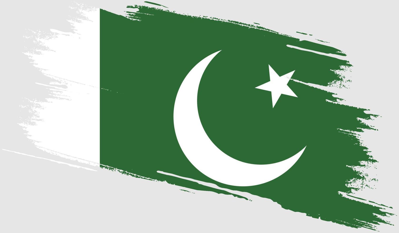 Pakistan flag with grunge texture vector