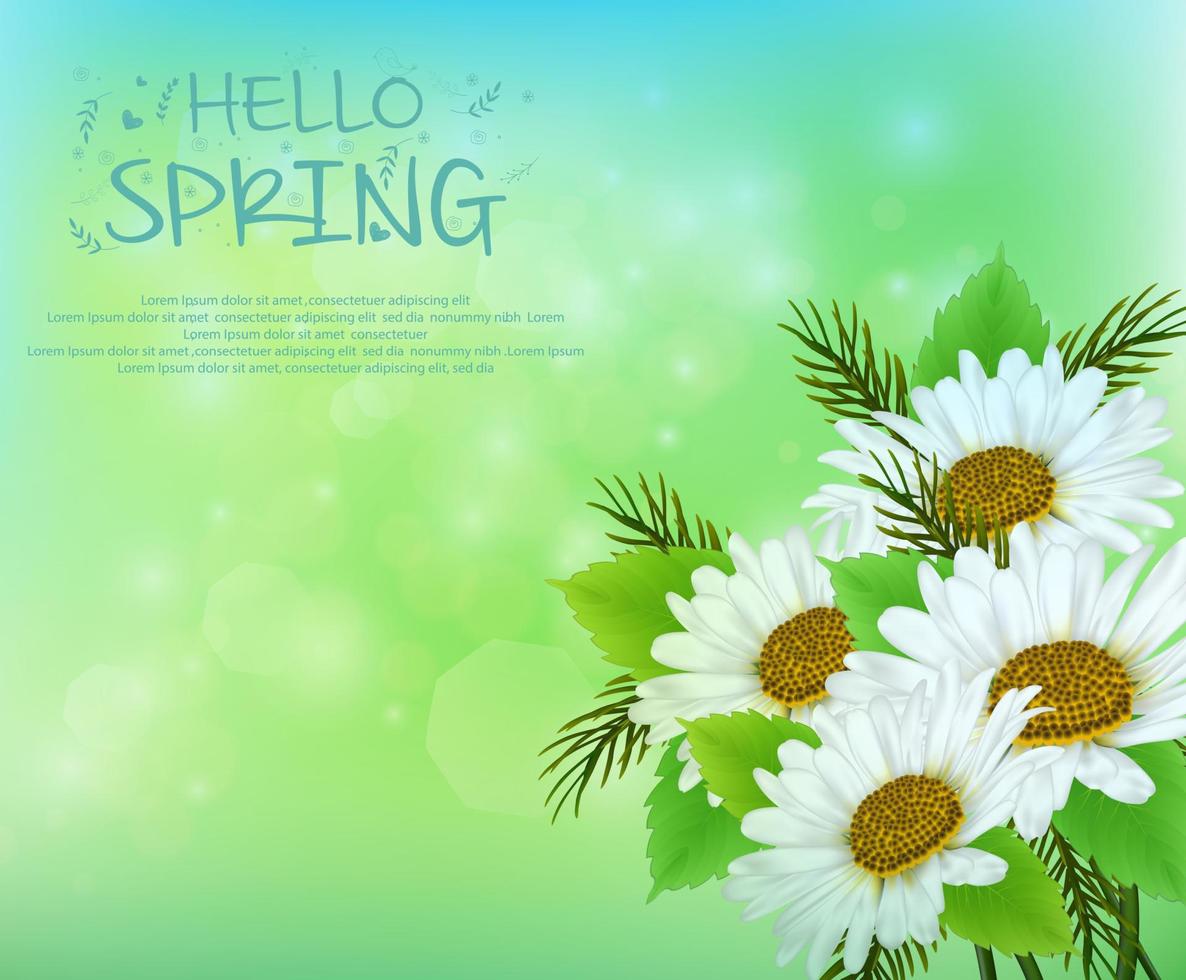 Vector illustration of Spring background with daisy flowers