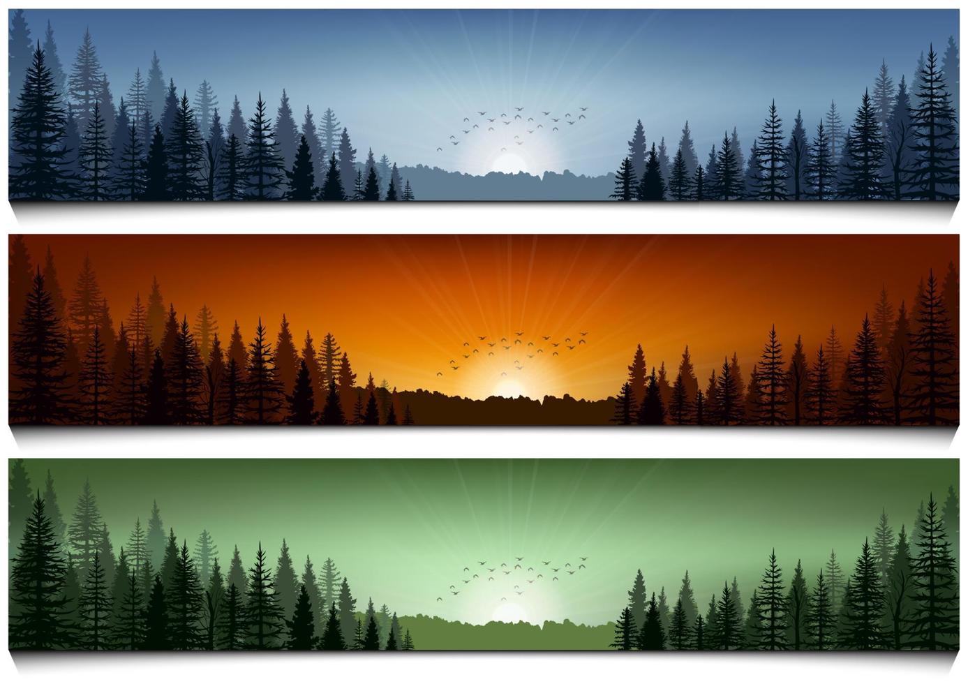 Set of forest landscape scenes banners vector