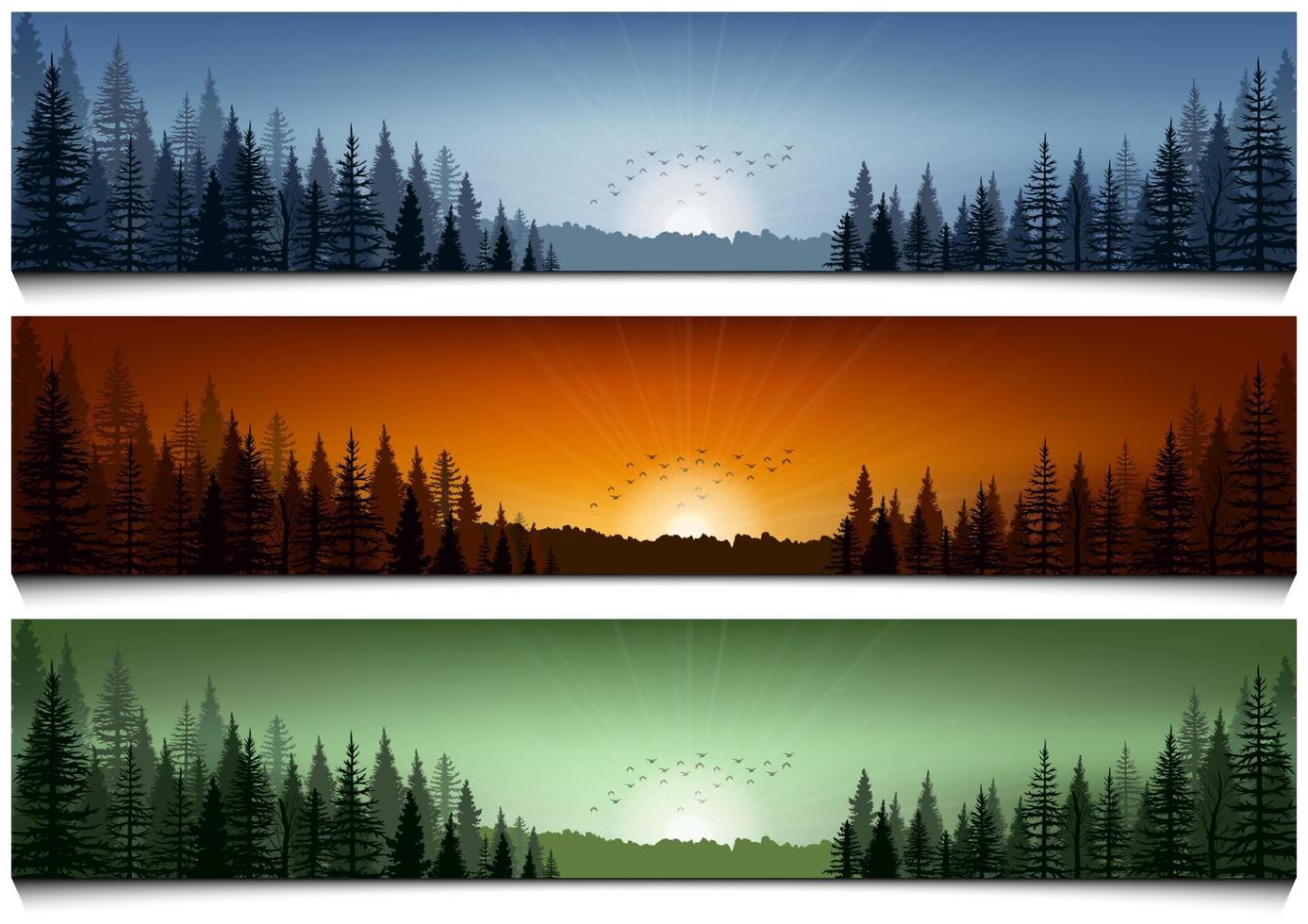 conjunto de pancartas de escenas de paisajes forestales vector