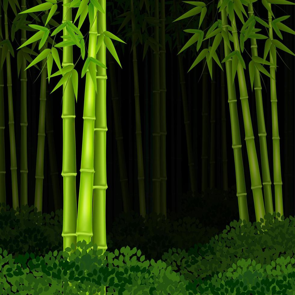 ilustración vectorial del bosque de bambú de fondo en la noche vector