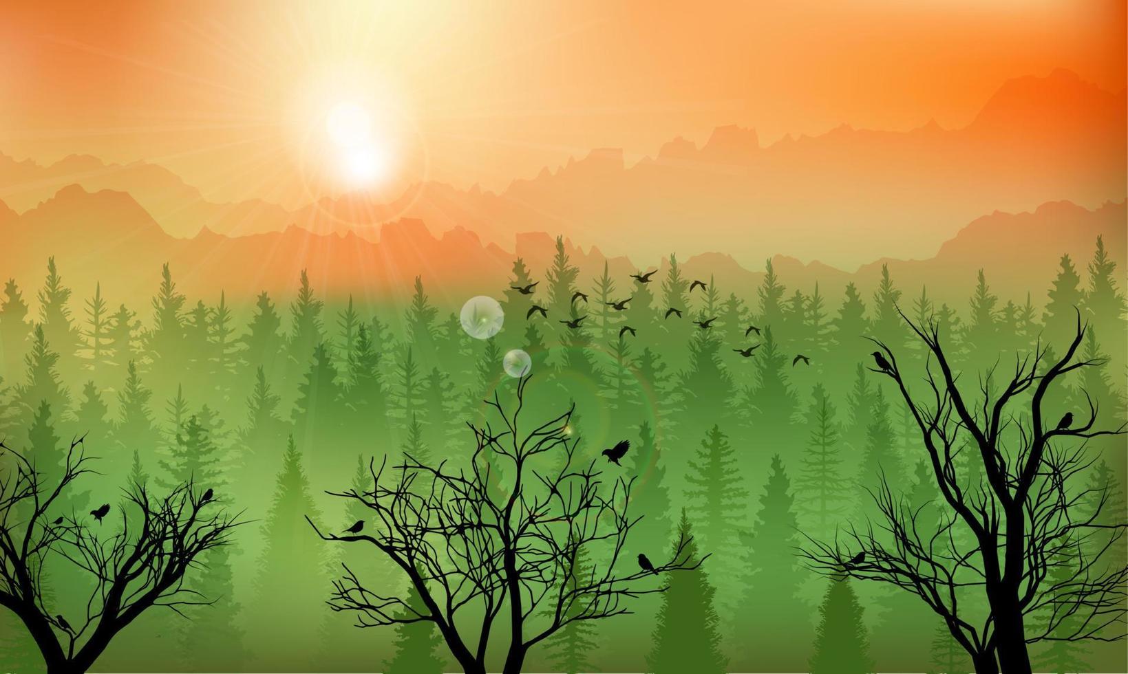 Vector illustration of Mountain forest background at sunset