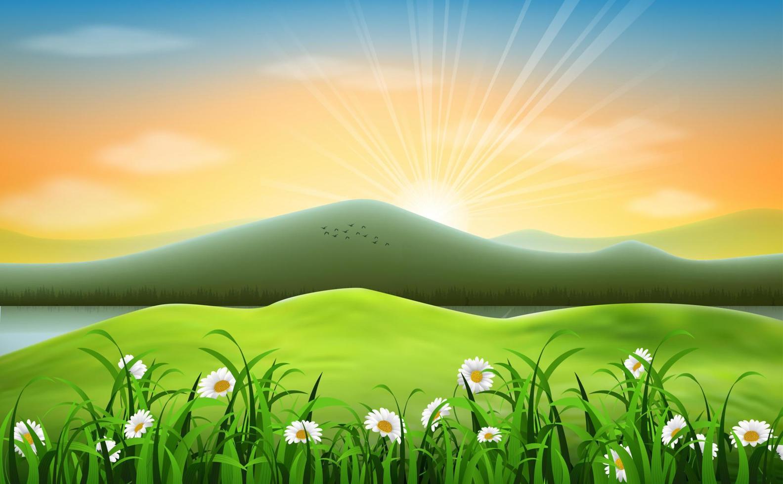 Vector illustration of Mountain landscape background with daisies flower