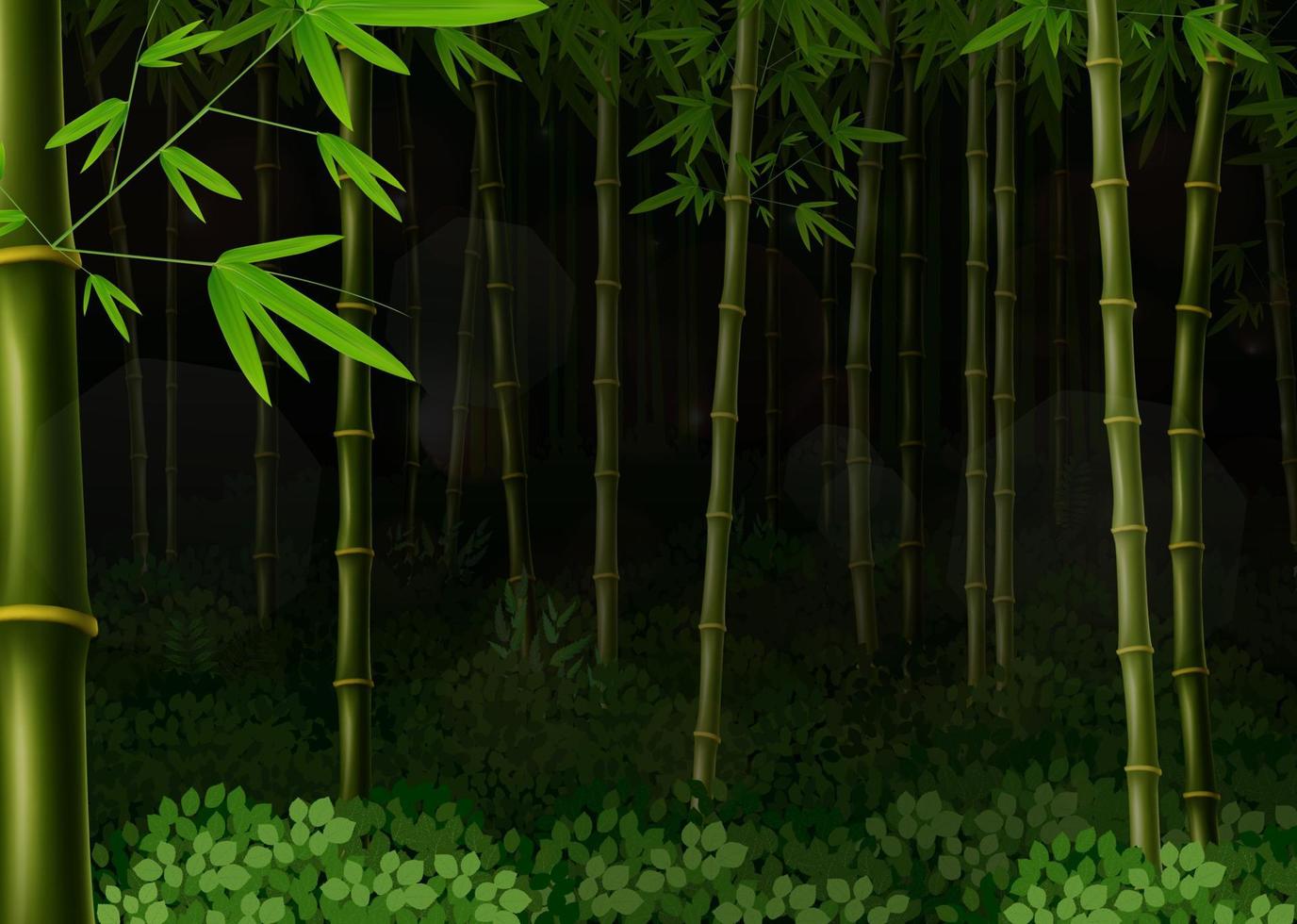 Background bamboo forest at night vector