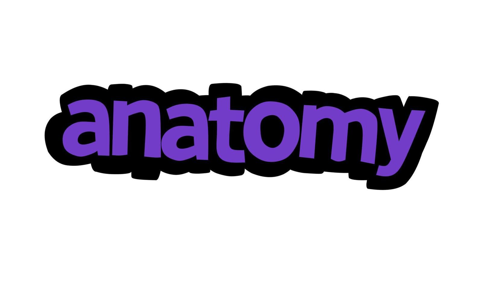 ANATOMY writing vector design on white background