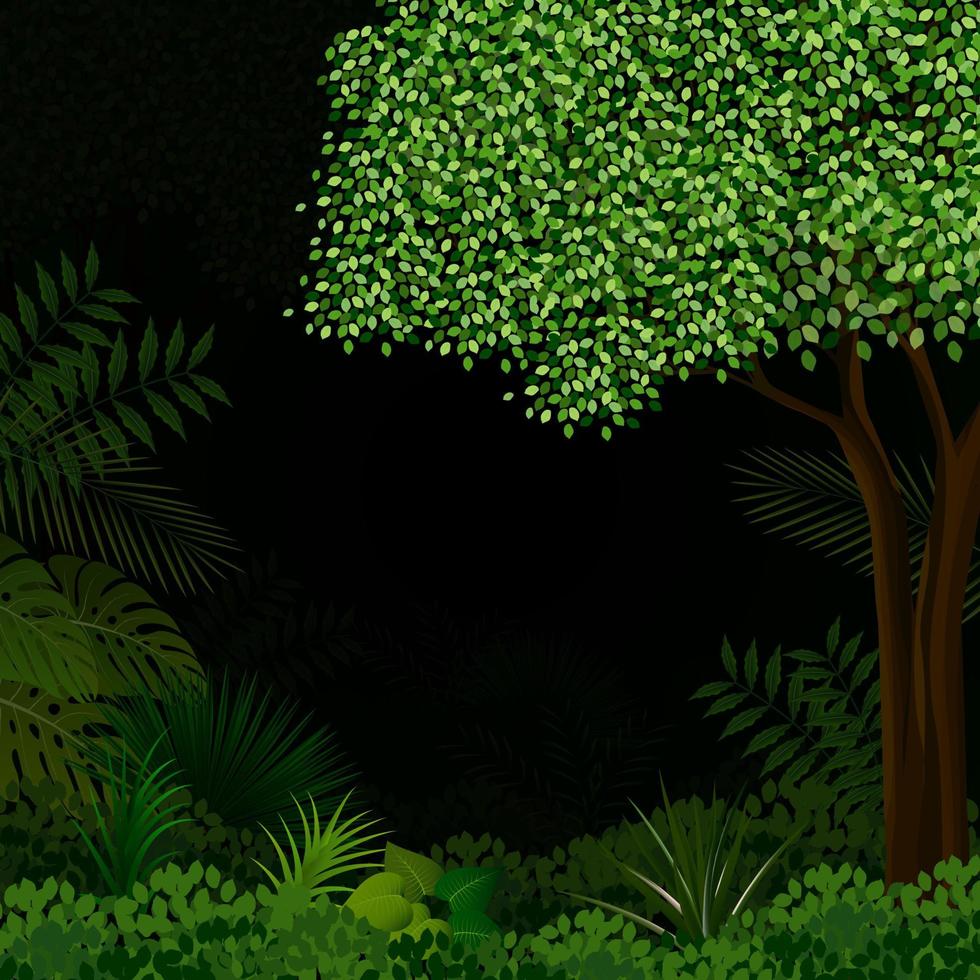 Exotic tropical forest vector