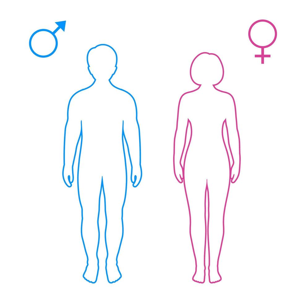 Pink and blue silhouettes of man and woman with symbols vector