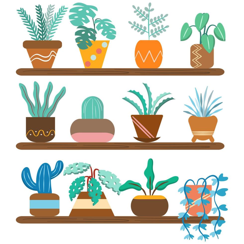 coloridas plantas de interior en la colección de estantes vector