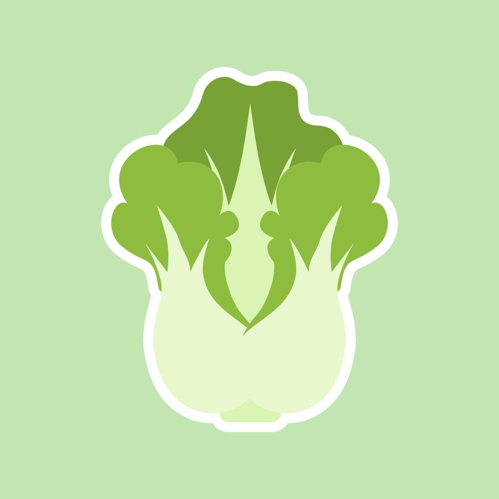 Flat illustration of chinese cabbage vector icon for web design. Head of napa cabbage. Vector flat color icon. Isolated on color. Natural food and healthy nutrition. Flat vector