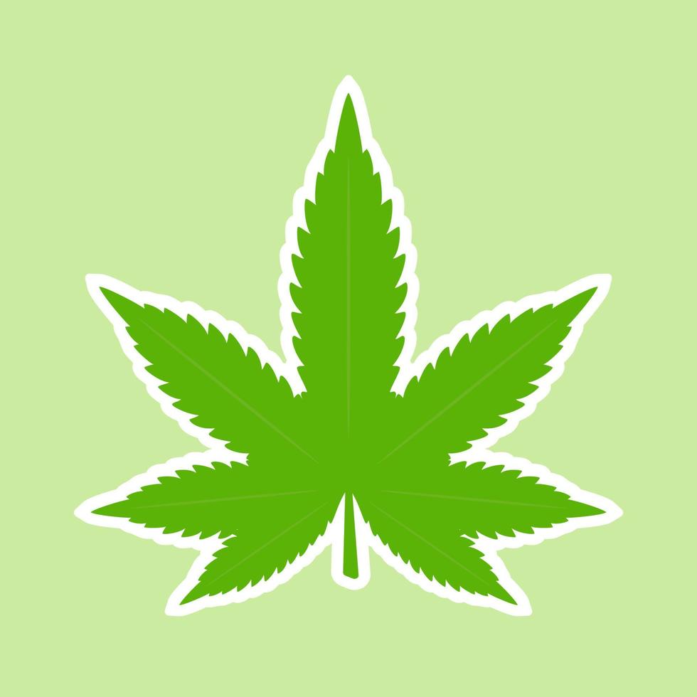 Cannabis marijuana weed green leaf. Medical, ganja cannabis. Vector illustration Isolated on green background