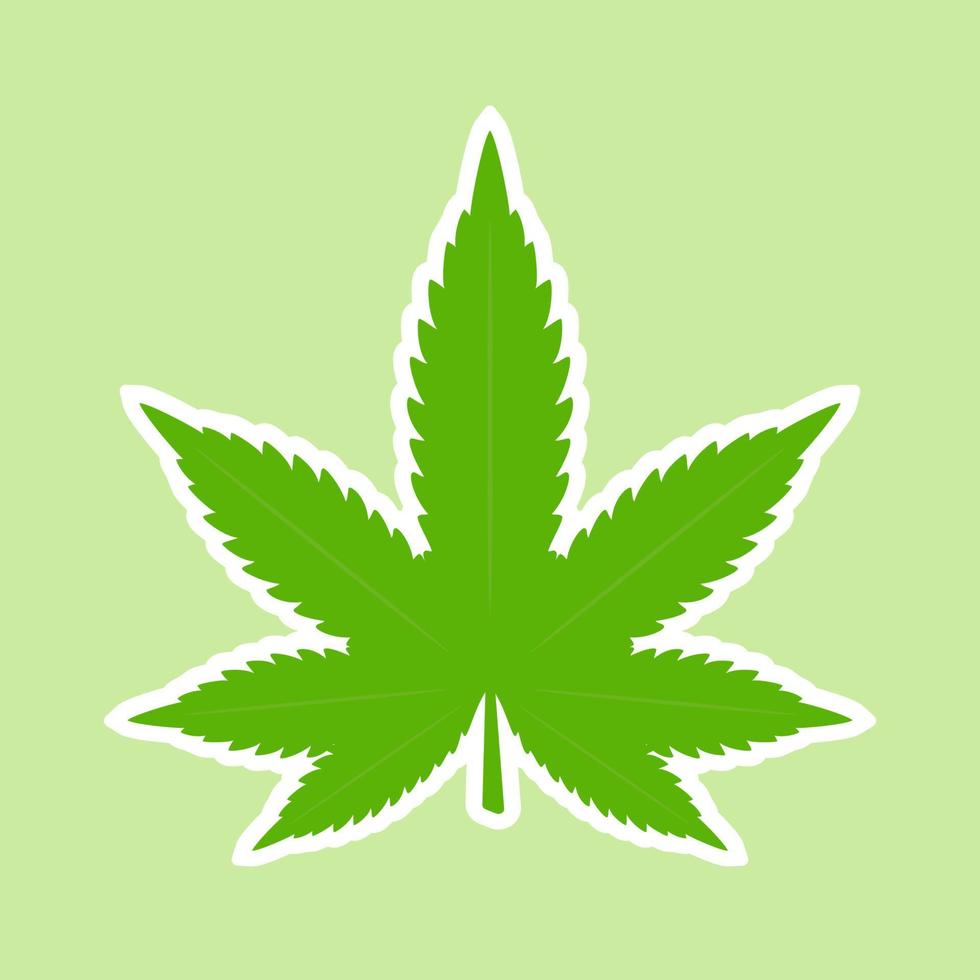 Cannabis marijuana weed green leaf. Medical, ganja cannabis. Vector illustration Isolated on green background